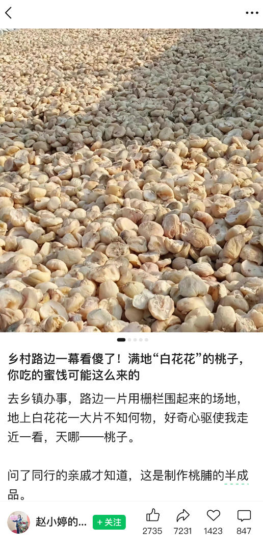 公众号小绿书贴图项目，赚收益实操玩法，听话照听话照少走90%弯路丨副业可做