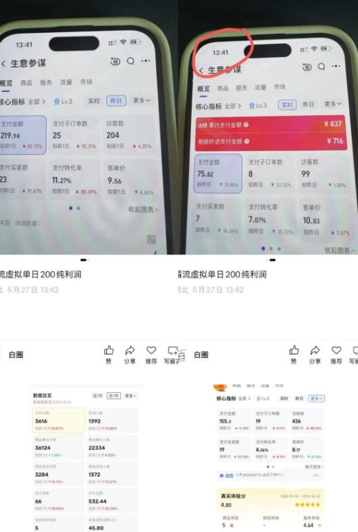 薅流虚拟2.0陪跑课,0成本AI流程化操作,淘宝 闲鱼同步玩法,上一次货两个平台有收益,单店每天200纯利润
